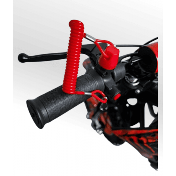 Mini Moto Cross Trilha 49cc BZ Monster Partida a Corda Gasolina Escapamento Duplo a Gasolina com Óleo 2-Tempos BARZI MOTORS 