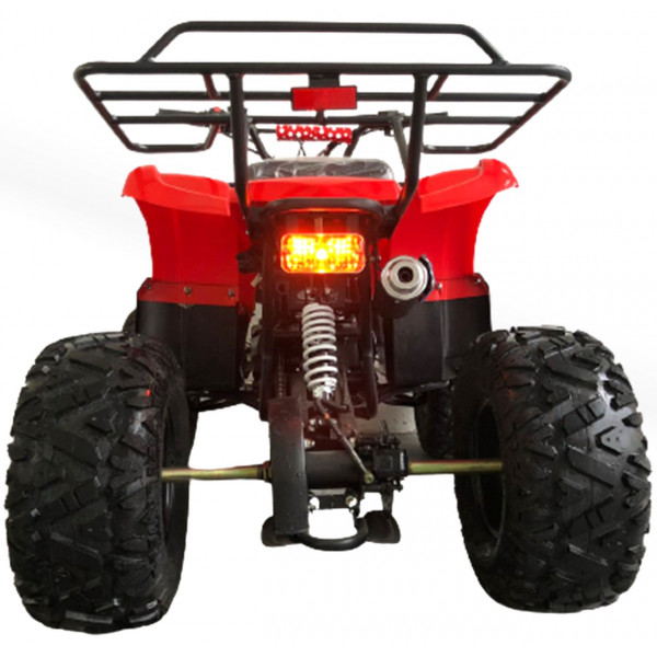 Quadriciclo 125cc BZ Little Bull Barzi Motors Pneus Aro 8' Quadriciclos