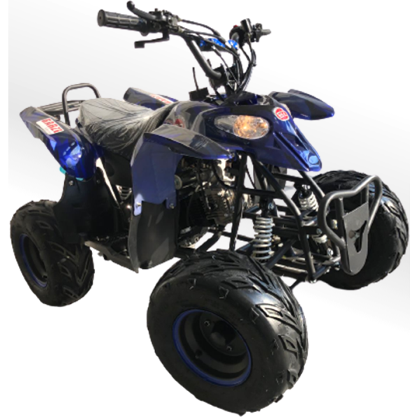 Quadriciclo 110cc BZ Moskiti Barzi Motors Pneus Aro 7' Quadriciclos