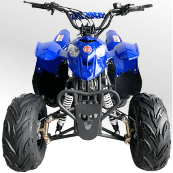 Quadriciclo 110cc BZ Moskiti Barzi Motors Pneus Aro 7' Quadriciclos