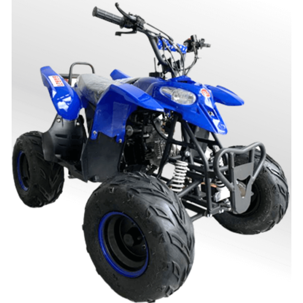 Quadriciclo 110cc BZ Moskiti Barzi Motors Pneus Aro 7' Quadriciclos