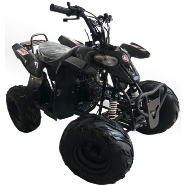 Quadriciclo 110cc BZ Moskiti Barzi Motors Pneus Aro 7' Quadriciclos
