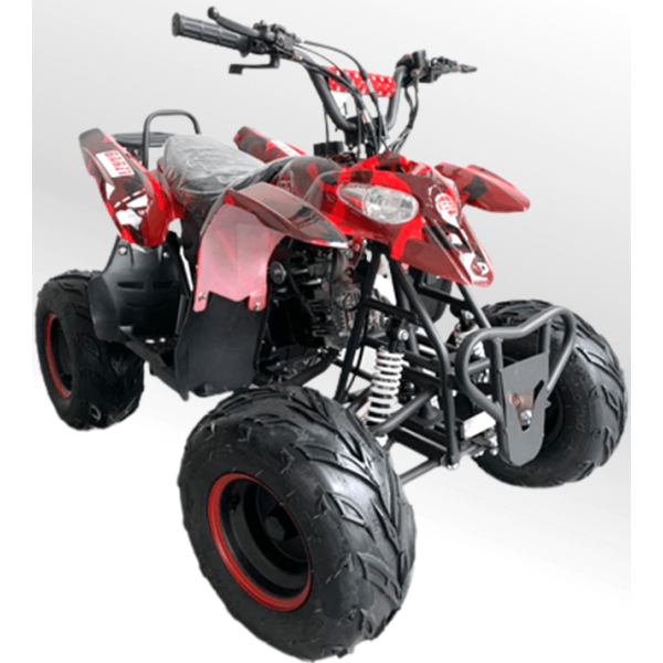 Quadriciclo 110cc BZ Moskiti Barzi Motors Pneus Aro 7' Quadriciclos