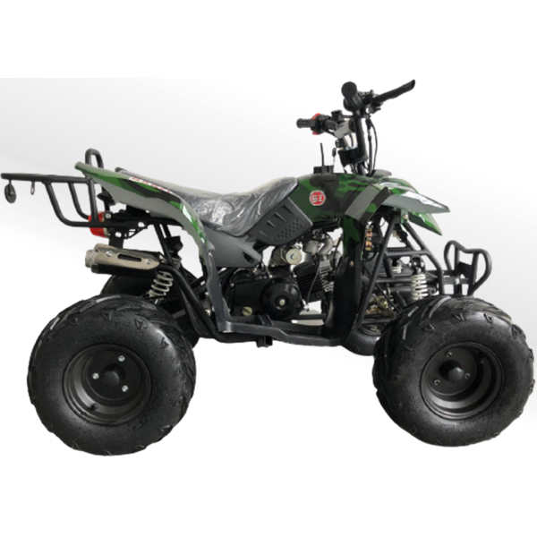 Quadriciclo 110cc BZ Moskiti Barzi Motors Pneus Aro 7' Quadriciclos